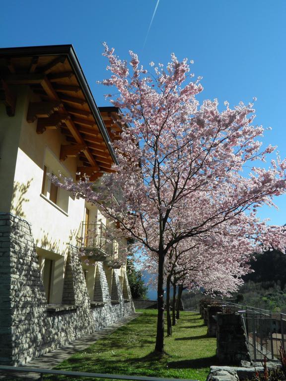 Villa Primula Bellagio Chambre photo